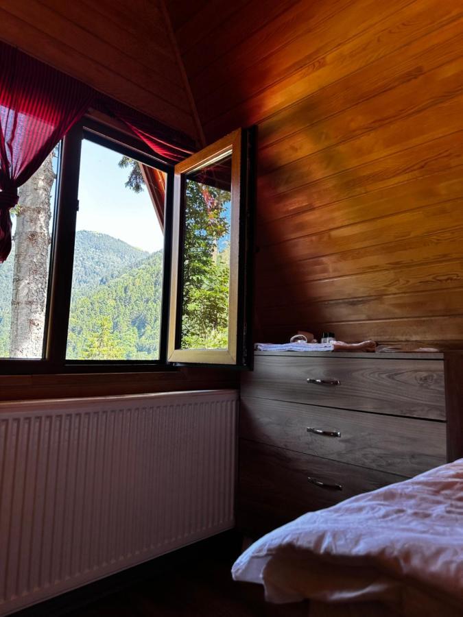 Maneviga Cafe Apart Aparthotel Uzungöl Exterior foto